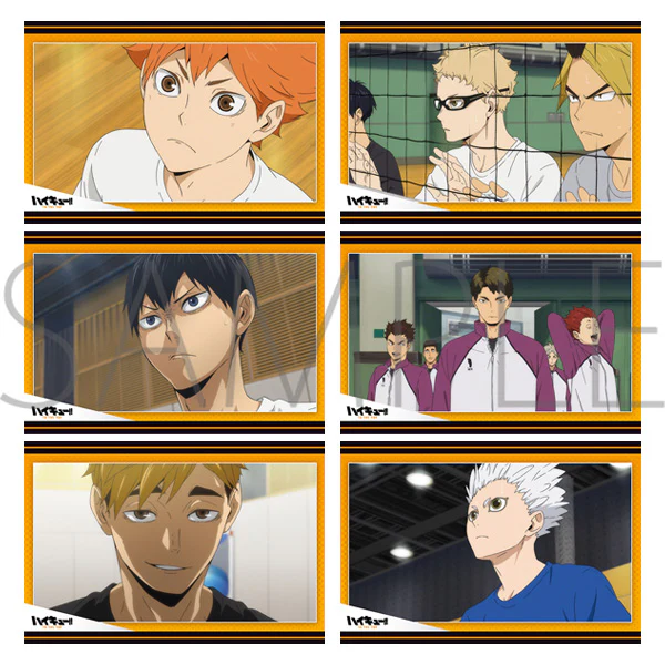 [Haikyu!!] Memories Postcard Set of 6 Training Camp