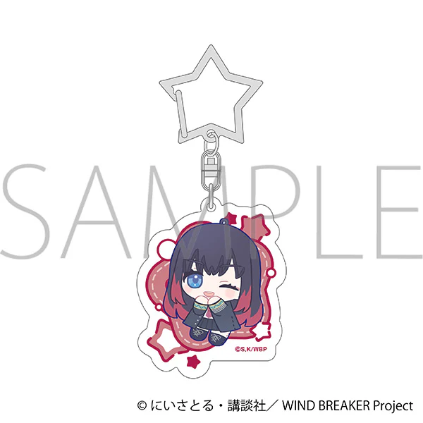 (Goods - Keychain) WIND BREAKER Acrylic Keychain Tasuku Tsubakino Nui Pal Skip