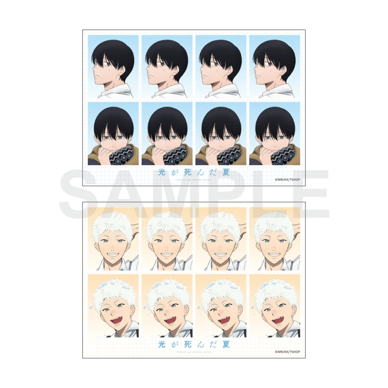 (Goods - Card) The Summer Hikaru Died Passport Photo Bromide Set Daily Life