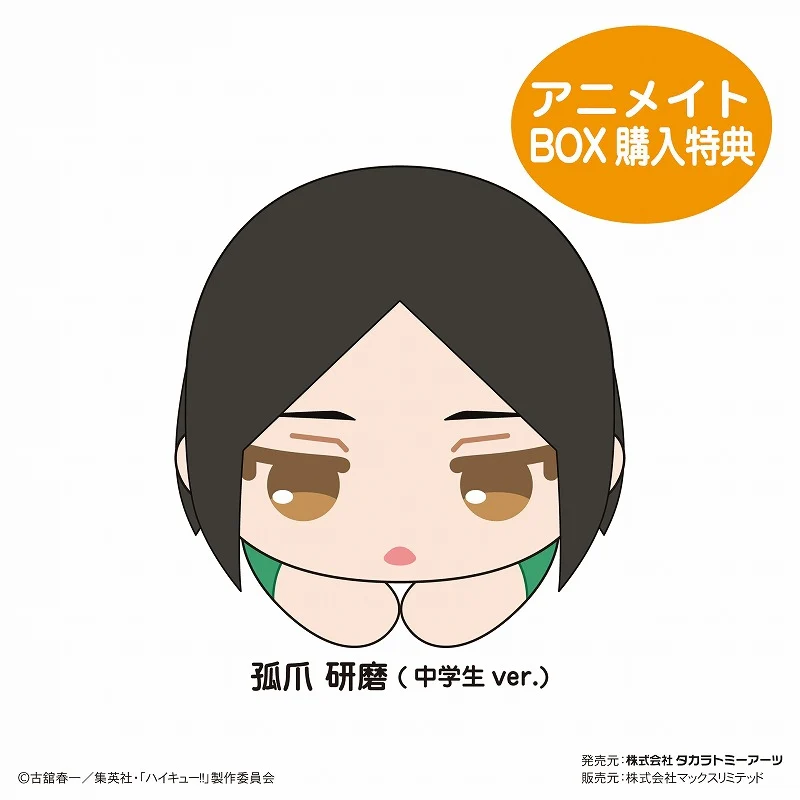 [Haikyu!!] HugChara Collection 8 Mascot (Blind Box -Single) - Image 4
